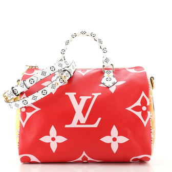 Louis Vuitton Speedy Bandouliere Bag Limited Edition Colored Monogram Giant 30