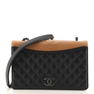 Chanel Ballerine Flap Bag Quilted Lambskin Small