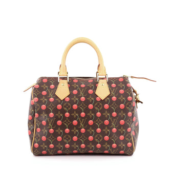 Louis Vuitton Speedy Handbag Limited Edition Cerises 25