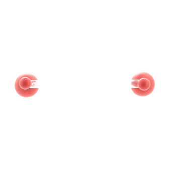 Christian Dior Mise En Dior Tribal Stud Earrings Resin