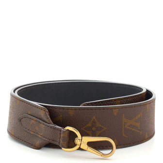 Louis Vuitton Bandouliere Monogram Canvas and Leather
