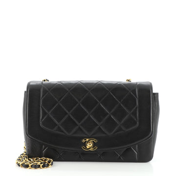 Chanel Vintage Diana Flap Bag Quilted Lambskin Medium