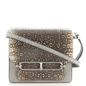 Hermes Roulis Bag Lizard and Alligator 18