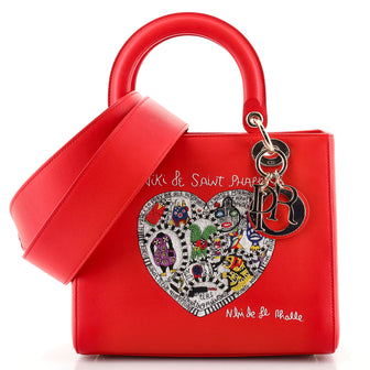 Christian Dior Lady Dior Bag Limited Edition Niki de Saint Phalle Embroidered Leather Medium