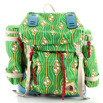 Gucci Gucci x The North Face Flap Backpack Printed Nylon Large
