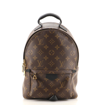 Louis Vuitton Palm Springs Backpack Monogram Canvas PM