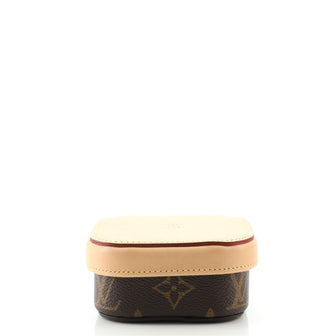 Louis Vuitton Box Camille Case Monogram Canvas and Leather PM