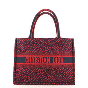 Christian Dior Book Tote Embroidered Canvas Small
