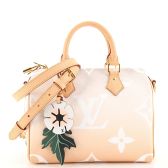 Louis Vuitton Speedy Bandouliere Bag By The Pool Monogram Giant 25