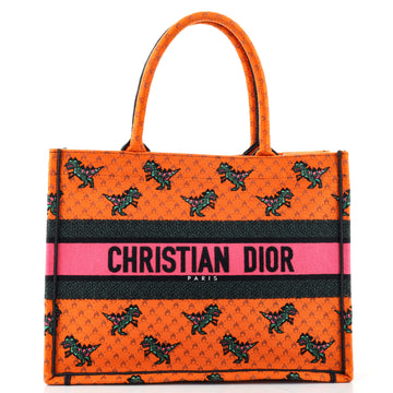 Christian Dior Book Tote Embroidered Canvas Medium