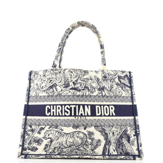 Christian Dior Book Tote Embroidered Canvas Small