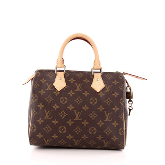 Louis Vuitton Speedy Handbag Monogram Canvas 25