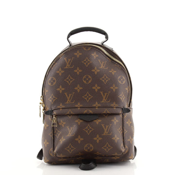 Louis Vuitton Palm Springs Backpack Monogram Canvas PM