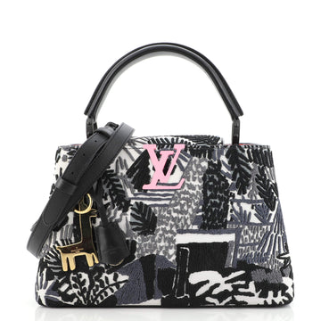 Louis Vuitton Jonas Wood ArtyCapucines Bag Printed Stitched Leather PM