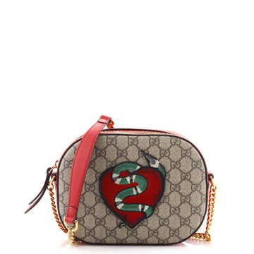 Gucci Chain Crossbody Bag Embroidered GG Coated Canvas Mini