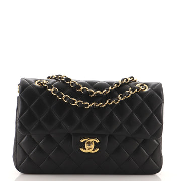 Chanel Classic Double Flap Bag Quilted Lambskin Small