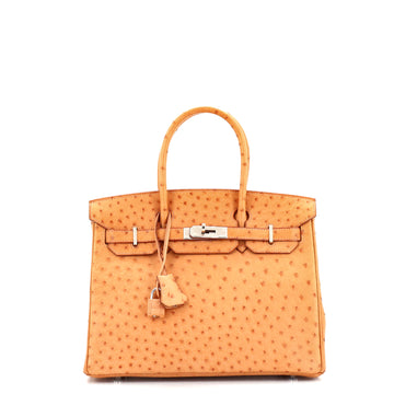 Hermes Birkin Handbag Brown Ostrich with Palladium Hardware 30