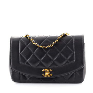 Chanel Vintage Diana Flap Bag Quilted Lambskin Small