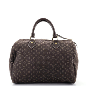 Louis Vuitton Speedy Handbag Mini Lin 30