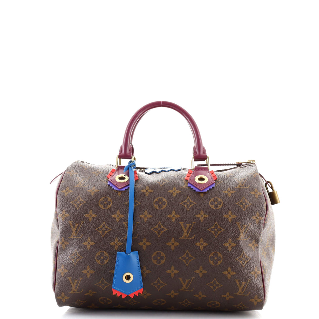 Louis Vuitton Speedy Handbag Limited Edition Totem Monogram Canvas 30 Brown  1435581