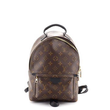 Louis Vuitton Palm Springs Backpack Monogram Canvas PM