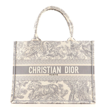 Christian Dior Book Tote Embroidered Canvas Medium