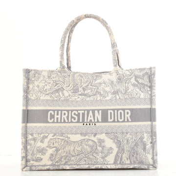 Christian Dior Book Tote Embroidered Canvas Medium