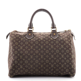 Louis Vuitton Speedy Handbag Mini Lin 30