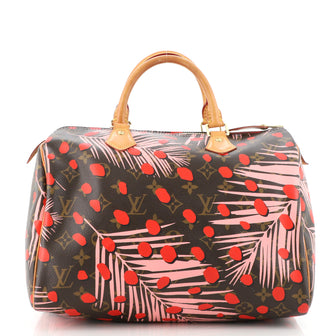 Louis Vuitton Speedy Handbag Limited Edition Monogram Jungle Dots 30