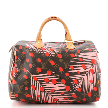 Louis Vuitton Speedy Handbag Limited Edition Monogram Jungle Dots 30