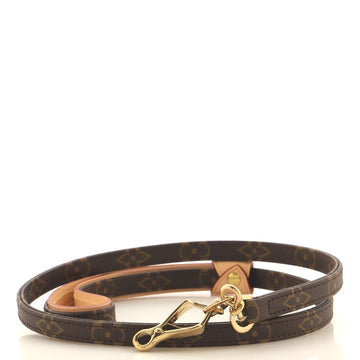 Louis Vuitton Baxter Dog Leash Monogram Canvas MM