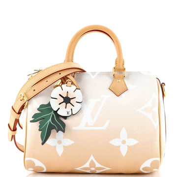 Louis Vuitton Speedy Bandouliere Bag By The Pool Monogram Giant 25