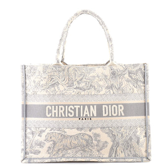 Christian Dior Book Tote Embroidered Canvas Medium