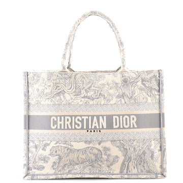 Christian Dior Book Tote Embroidered Canvas Medium