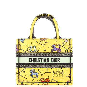Christian Dior Book Tote Embroidered Canvas Small