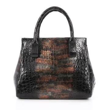 Nancy Gonzalez Convertible Frame Tote Crocodile Small