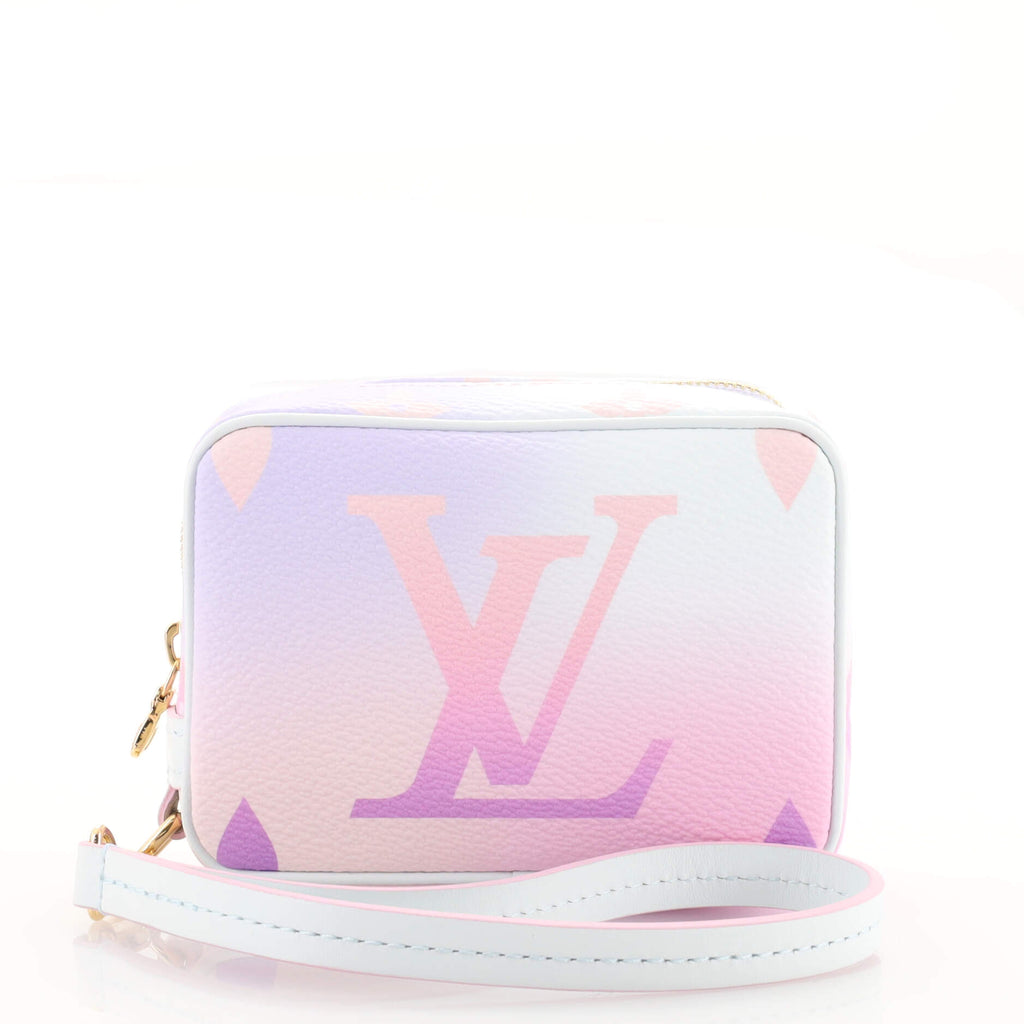 Louis Vuitton LV Wapity Case in Monogram