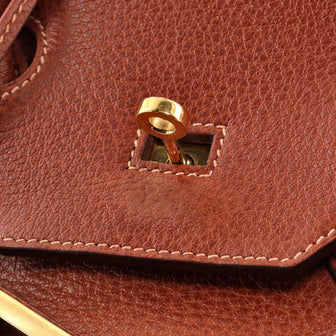 Hermes Birkin Handbag Brown Buffalo Skipper with Gold Hardware 35