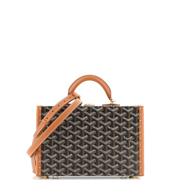 Goyard Grand Hotel Trunk Bag Coated Canvas PM