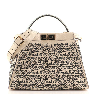 Fendi Peekaboo Bag Embroidered Python Regular
