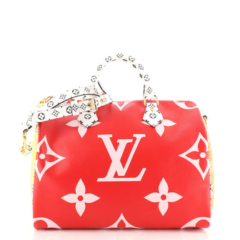 Louis Vuitton Speedy Bandouliere Bag Limited Edition Colored Monogram Giant 30