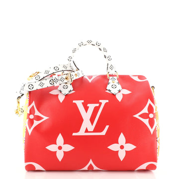 Louis Vuitton Speedy Bandouliere Bag Limited Edition Colored Monogram Giant 30
