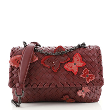 Bottega Veneta Butterfly Olimpia Crossbody Bag Intrecciato Nappa with Applique Baby
