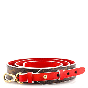 Louis Vuitton Bandouliere Monogram Canvas and Leather