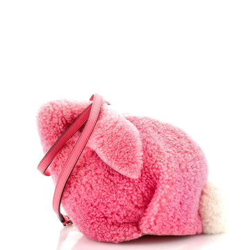 Loewe Rabbit Crossbody Bag Shearling Mini