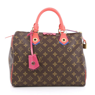 Louis Vuitton Speedy Handbag Limited Edition Totem Monogram Canvas 30 Brown 1793201