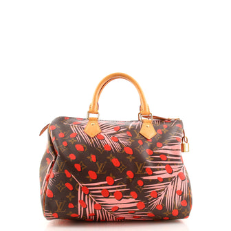 Louis Vuitton Speedy Handbag Limited Edition Monogram Jungle Dots 30