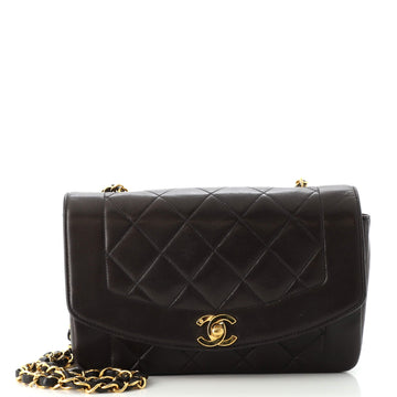 Chanel Vintage Diana Flap Bag Quilted Lambskin Small