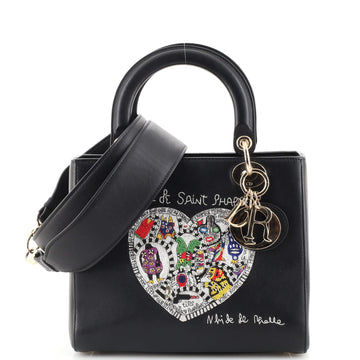 Christian Dior Lady Dior Bag Limited Edition Niki de Saint Phalle Embroidered Leather Medium