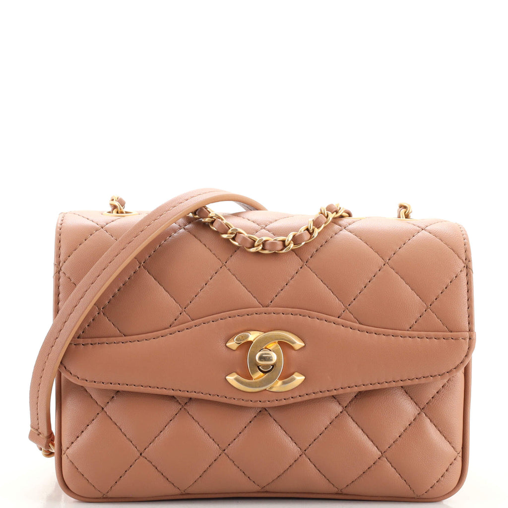 Chanel Daily Companion Coco Vintage Flap Bag Quilted Lambskin Small Neutral  180878191
